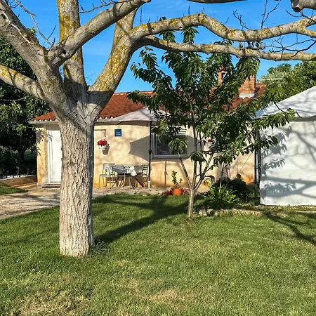 Apartamento 1 Bedroom Amazing In *