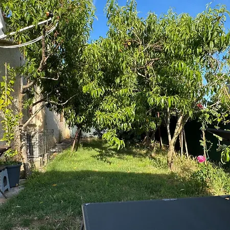 Lejlighed 1 Bedroom Amazing In *